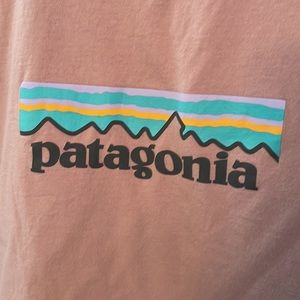 Patagonia Organic Cotton T-Shirt